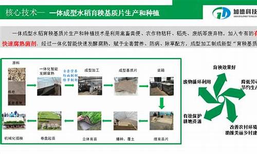 農(nóng)村有機廢棄物資源化利用的重要性